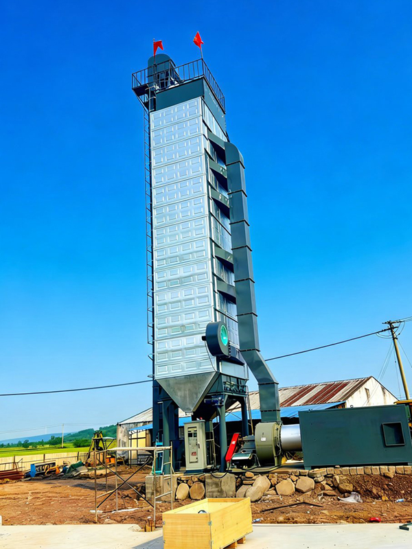 100吨粮食烘干塔